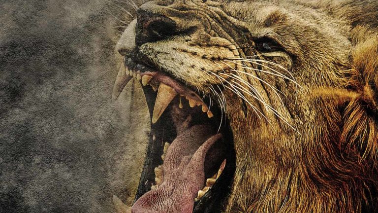 A motiváció Felesleges !